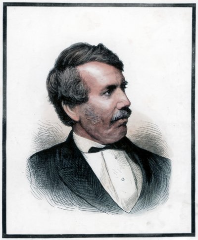 大卫·利文斯通（David Livingstone），苏格兰传教士和非洲探险家，1874年 作者 不明
