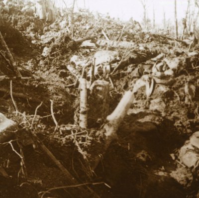1915年，法国北部列斯·帕热斯（LesÉparges）被毁的住所。 作者 不明