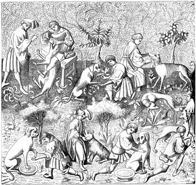 狗的疾病及其治疗方法，14世纪，1849年 作者 不明