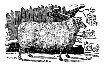 迪斯利·新莱斯特羊，1811年 作者 不明