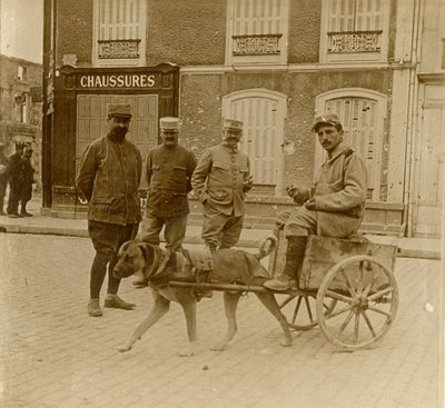 狗推车，法国，c1914-c1918 作者 不明