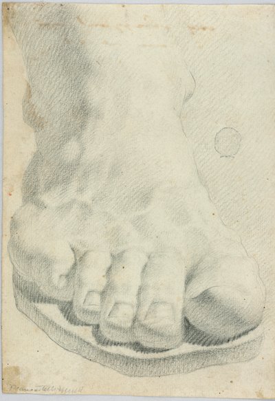 绘画 (意大利) 作者 不明
