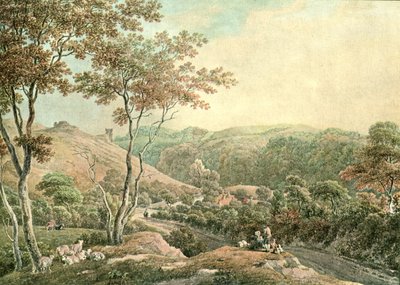 卡斯特尔郡的德鲁斯温城堡（c.Dusllwyn Castle），摄于1900年。 作者 不明