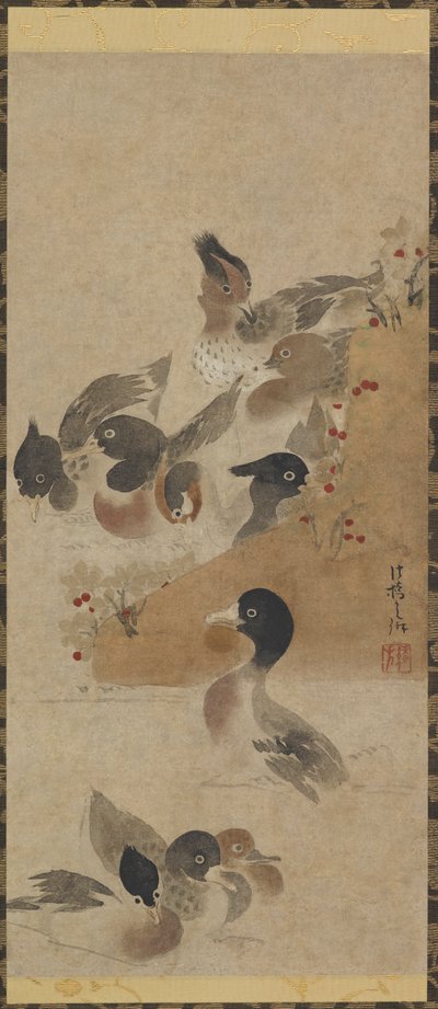 鸭子，江户时期，18世纪。 作者 不明