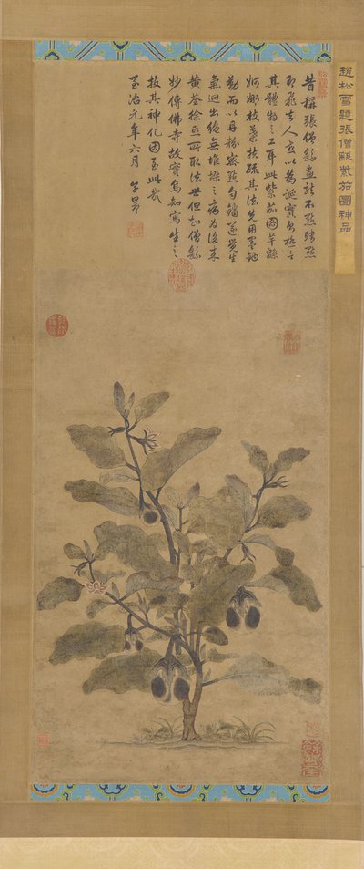 茄子，明朝时期，1368-1644。 作者 不明