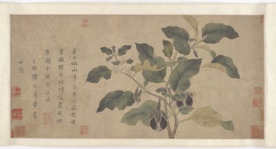 茄子，元代或明代，14世纪。 作者 不明