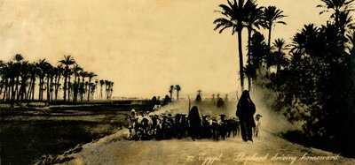 埃及-牧羊人开车回家，c1918-c1939。 作者 不明