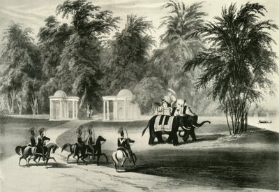 大象和护卫队（Barrackpore Park），1820年，1925年。 作者 不明