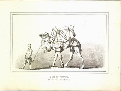 一头骆驼和一个来自萨尔迪斯的司机。插图摘自《Brogede rejsebilleder》一书，作者Jerichau-Baumann，Elisabeth，由Forlagsbureauet出版（哥本哈根，1881）。 作者 不明