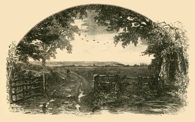 塞奇穆尔（Chedgezoy）的塞奇穆尔（Sedgemoor）入口，1898年。 作者 不明
