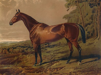 Fair Nell，约1879年。 作者 不明