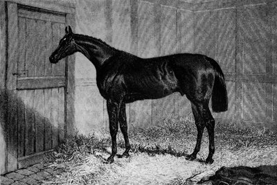 Foig-A-Ballagh，c1841-1860，1911年 作者 不明