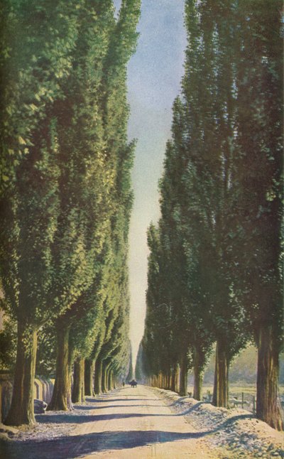 法国，c1930年代 作者 不明