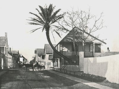 美国圣奥古斯丁弗朗西斯街，1895年。 作者 不明