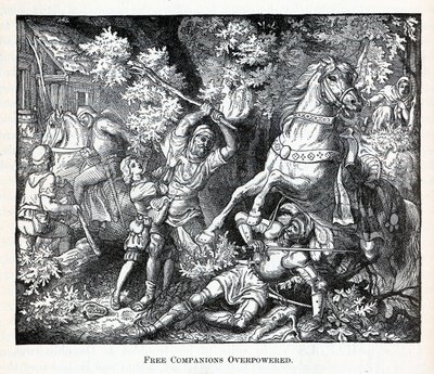 强大的免费同伴，1882年 作者 不明