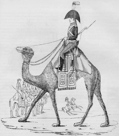 法国军医团。 1884年5月，在利比亚沙漠中被护卫队俘虏，1884年 作者 不明