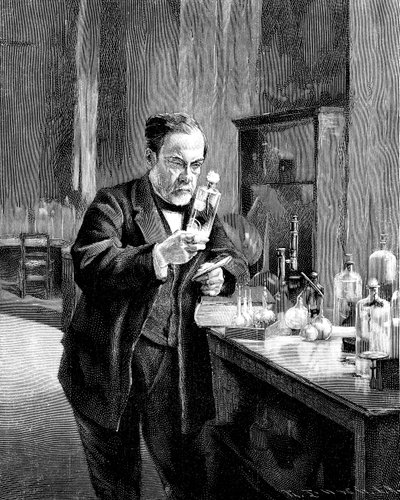 法国化学家和微生物学家Louis Pasteur 18221895 作者 不明