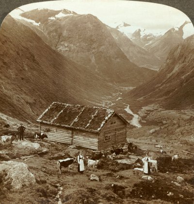 从Vidde saeter的山间客栈向下到达Vidde山谷-山。斯卡拉（Skaala），距离正确，c1905。 作者 不明