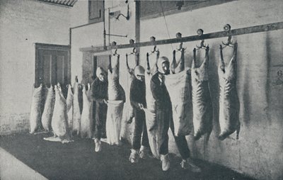 冷冻肉，1910年 作者 不明