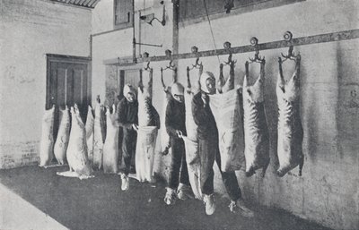 冷冻肉，1923年。 作者 不明