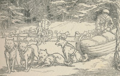 毛皮捕手，1924年 作者 不明