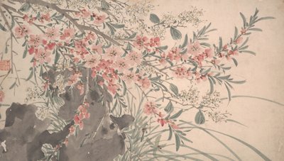 花园花卉，日期为1540年。 作者 不明