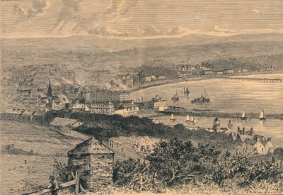 道格拉斯全景，1880年 作者 不明