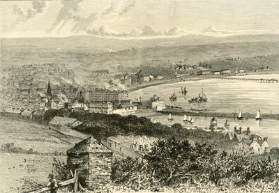 道格拉斯全景，1898年。 作者 不明