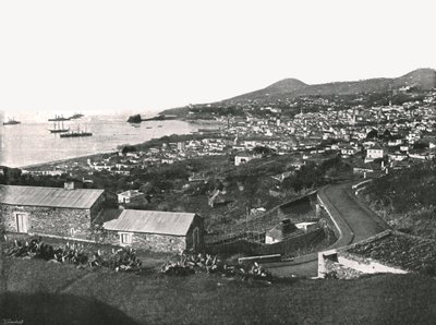 1895年，葡萄牙马德拉岛，丰沙尔全景。 作者 不明