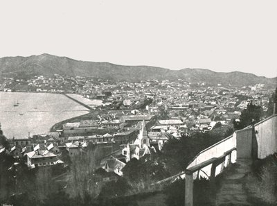 城市全景，惠灵顿，新西兰，1895年。 作者 不明