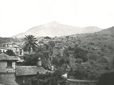 显示山顶的全景，特内里费岛，加那利，西班牙，1895年。 作者 不明