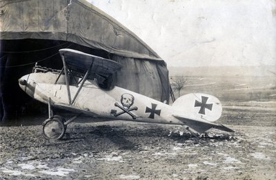 1918年1月2日，法国苏伊尔，德国信天翁DV 作者 不明