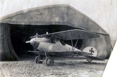 1918年1月2日，法国苏伊尔，德国信天翁DV 作者 不明