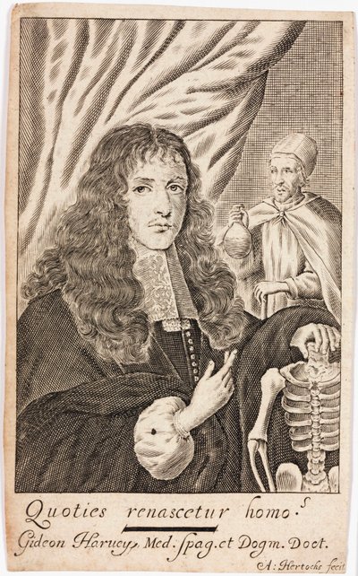 Gideon Harvey, english physician 作者 不明