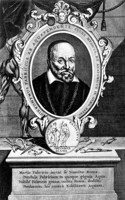 Girolamo Fabrici，意大利解剖学家和外科医生，十七世纪 作者 不明