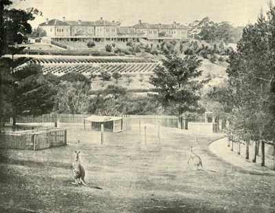 Gladesville精神病院，新南威尔士，1901年。 作者 不明