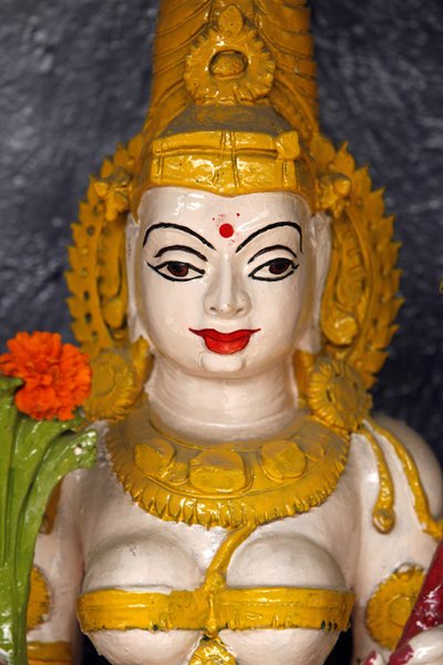 印度哈里瓦哈德瓦神庙中的女神雕像 作者 不明