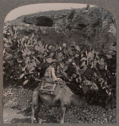 Golgotha头骨之地，c1900 作者 不明