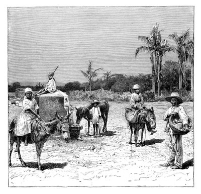 海地人集团，c1890 作者 不明