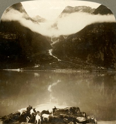 Grytereids冰川在浮云之上闪闪发光，穿越平静的奥尔登湖，挪威，约于1905年。 作者 不明