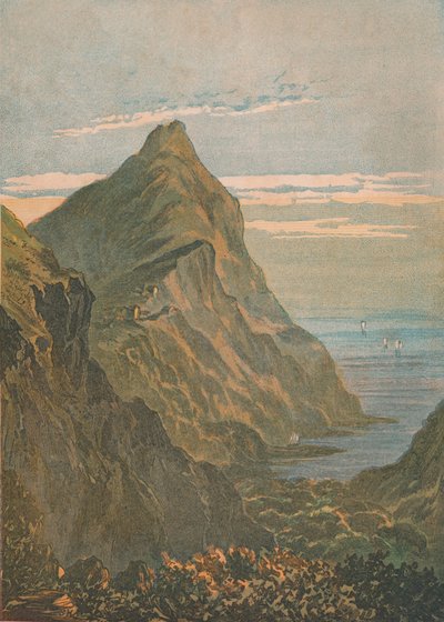 哈特兰角。北德文郡克洛韦利附近，1864年。 作者 不明