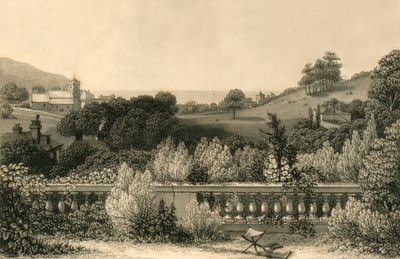 黑斯廷斯，1835年。 作者 不明