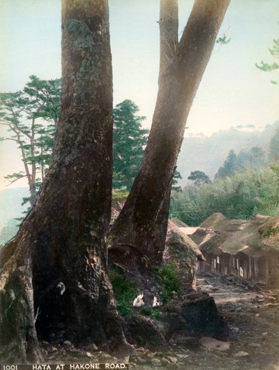 20世纪初，日本箱根路的羽田 作者 不明