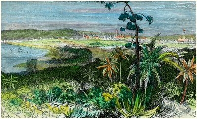 古巴哈瓦那（c1880） 作者 不明