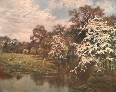 山楂花，c1899，c1902。 作者 不明