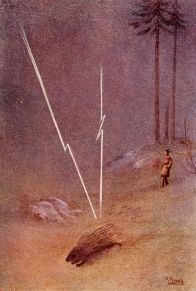 他突然变成了一只巨大的豪猪的形状，1914年。 作者 不明