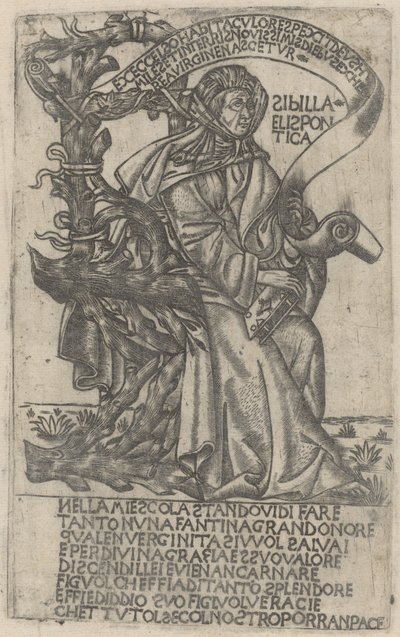 Hellespontine Sibyl，15世纪初。 作者 不明