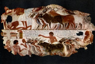 埃及，公元前1400年，公元前1936年，是18世纪时的牛群 作者 不明