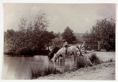 马匹在池塘边饮水，1890年左右 作者 不明
