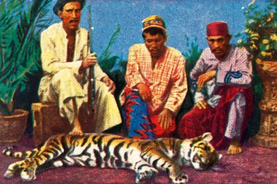 苏门答腊的死老虎猎人，摄于1928年。 作者 不明